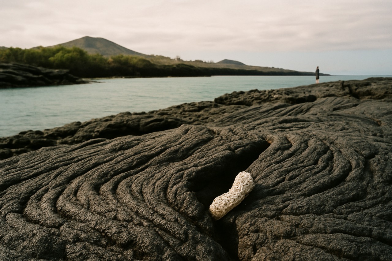 Rough black lava rock shoreline meeting calm turquoise water in the Galapagos islands