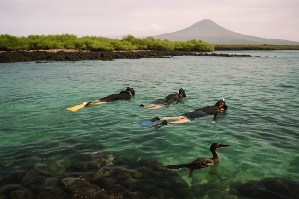 Snorkellers floating above a rocky reef in clear shallow water