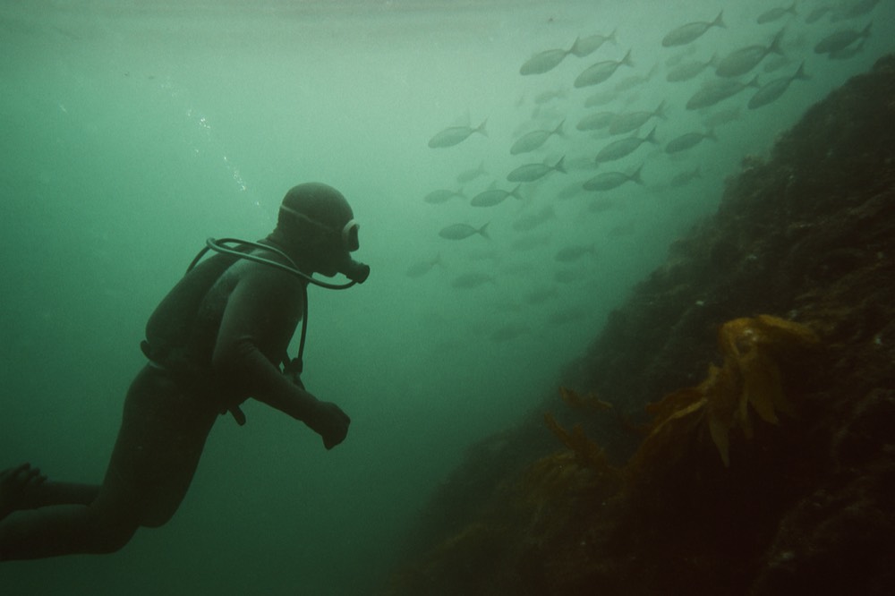 A diver in a thick wetsuit swimming near a rocky slope with kelp and fish